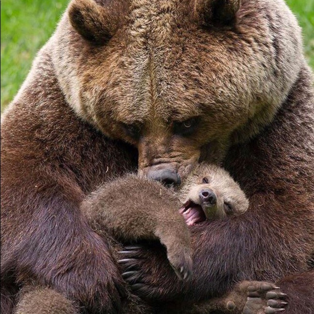 Meet your Posher, Isabelle